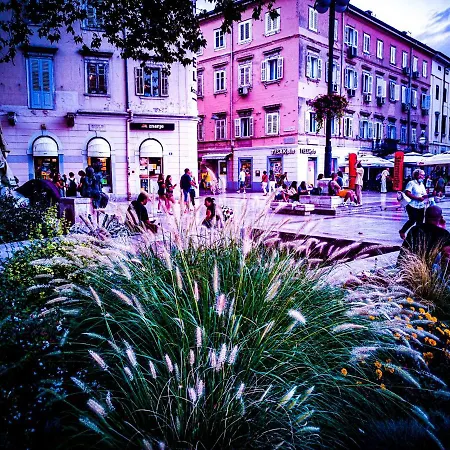 Kosy Auberge de jeunesse