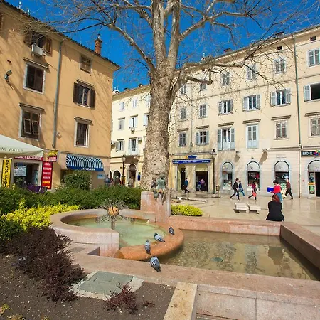 Auberge de jeunesse Kosy