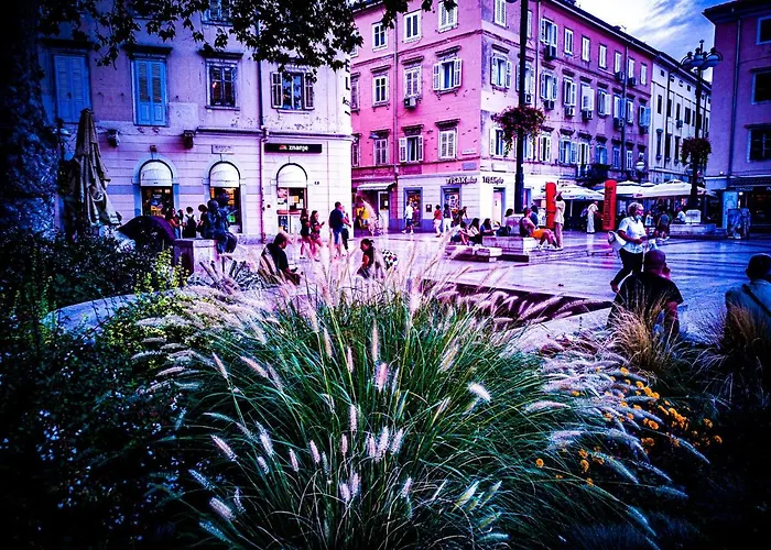 Kosy Auberge de jeunesse