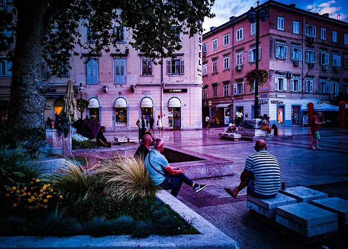 Kosy Auberge de jeunesse