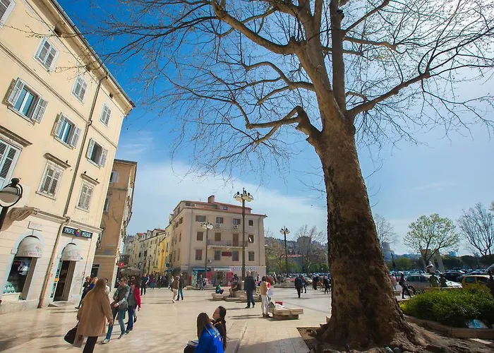 Auberge de jeunesse Kosy