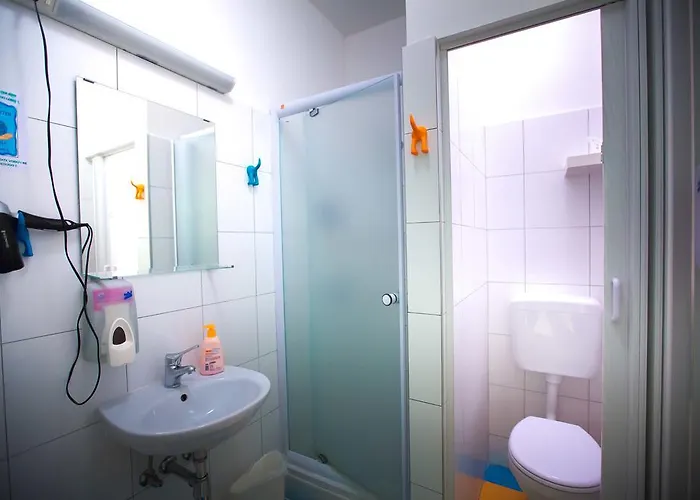 Auberge de jeunesse Kosy *