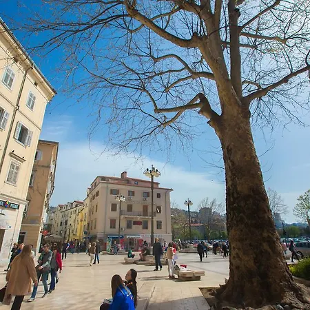 Hostel Kosy